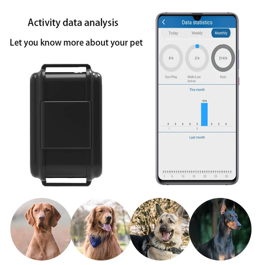 Pet GPS Tracker Hunting Dog 4G GPS Tracker for Animal Hound Dog GPRS Locator 3000mAh Battery Waterproof Free Web APP