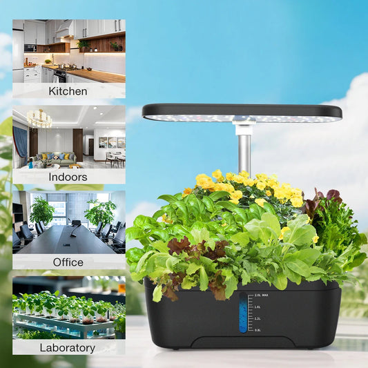 6 Holes Hydroponics Growing System Indoor Soilless Vegetable Fruit Herb Planter with LED Grow Light Smarts Water Pump Automatic