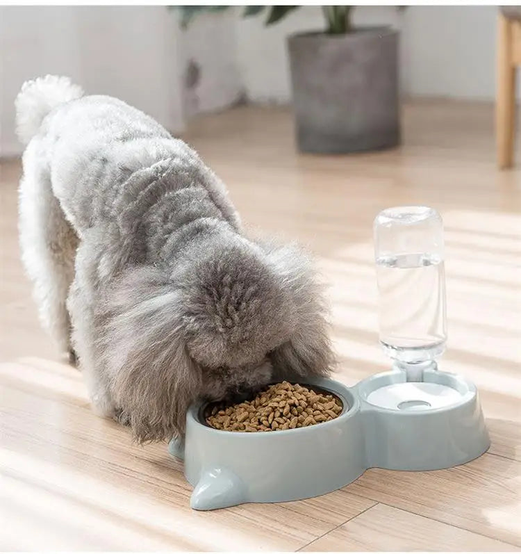 Blue Pet Dog Cat Bowl Fountain Automatic Food Water Feeder Container For Cats Dogs Drinking Pet Articles