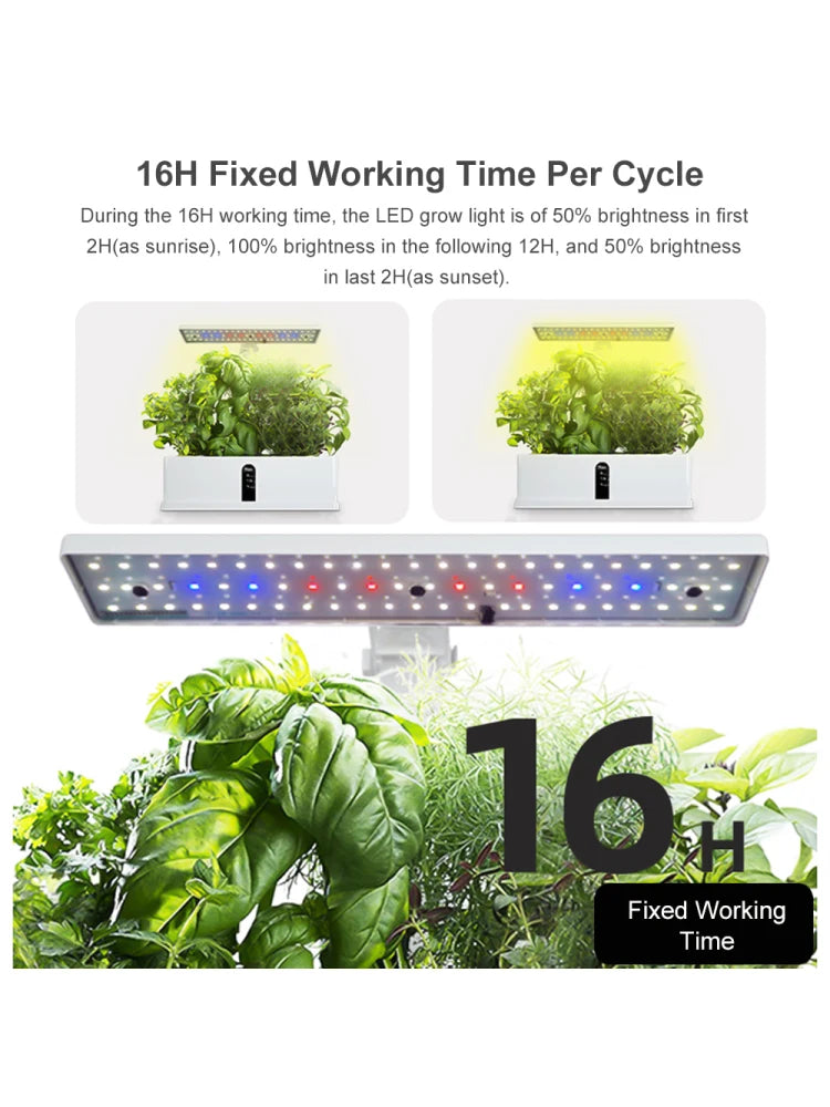Hydroponics Growing System Automatic Timing Indoor Garden Kit 9 Pods Height Adjustable 15W LED Grow Lights 2L Water Tank