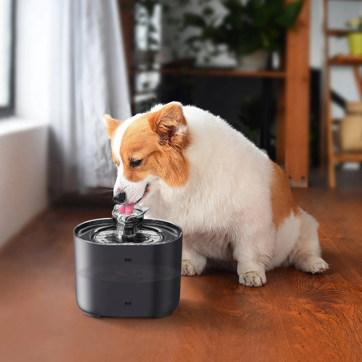 2L Capacity Pet Drinking,Automatic Dog Cat Water Fountain,Intelligent Induction Circulation Filter Silent Pet Water Feeder