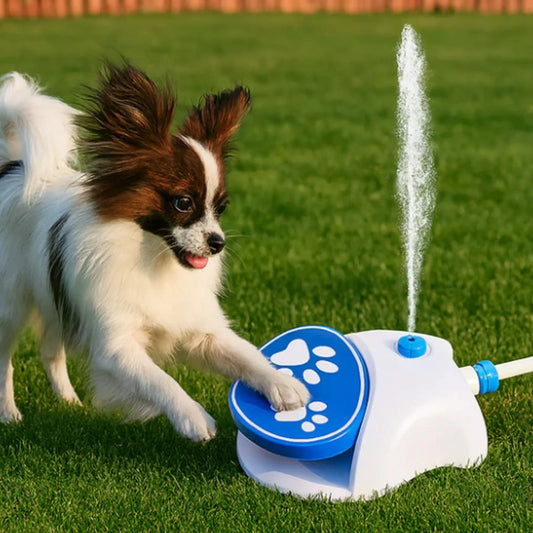 Outdoor Dog Water Fountain Leakproof Simple Use Paw Activated Step On Dog Water Dispenser 2 Water Dispensing Modes for Lawn