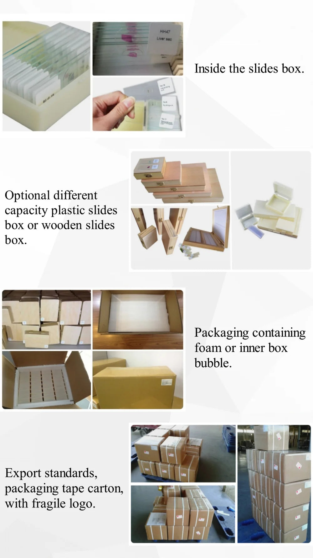 50 Pieces Set School Supplies Microscope Mixed Histology Prepared Slides for Educational Student