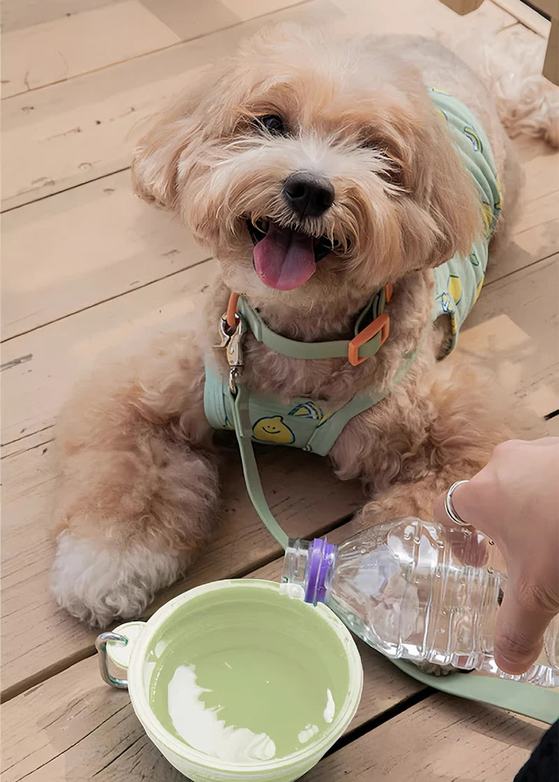 350/650ml Collapsible Pet Travel Bowl Leakproof Silicone Dog & Cat Food Water Dish Portable Outdoor Feeder with Carabiner Clip