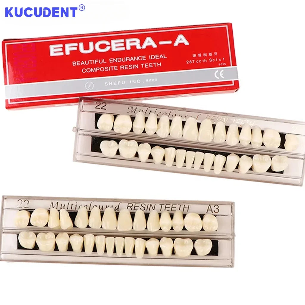28teeth Resin Denture Teeth Dental Synthetic Resin Teeth Teeth Teaching Model Permanent Teeth Model Dental Material