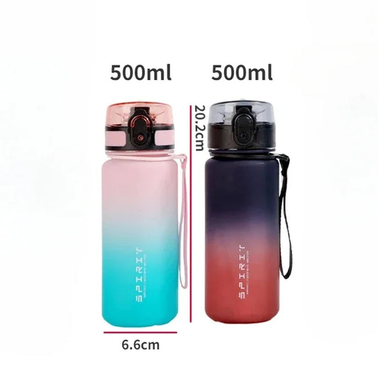 500ML Frosted, Shockproof, Portable Large-capacity Water Bottle with Filter and Portable Rope, Suitable for Outdoor Travel