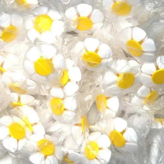 1 Pc Fountain Replacement Flower Nozzle for Pet Dog Fountain Automatic Drinking Water Dispenser Accessories