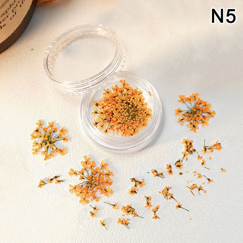 1 Box Nail Art Flower Decoration Delicate Dried Flower Nail Art Decorations Exquisite Nail Art Beauty For Charms Accessories