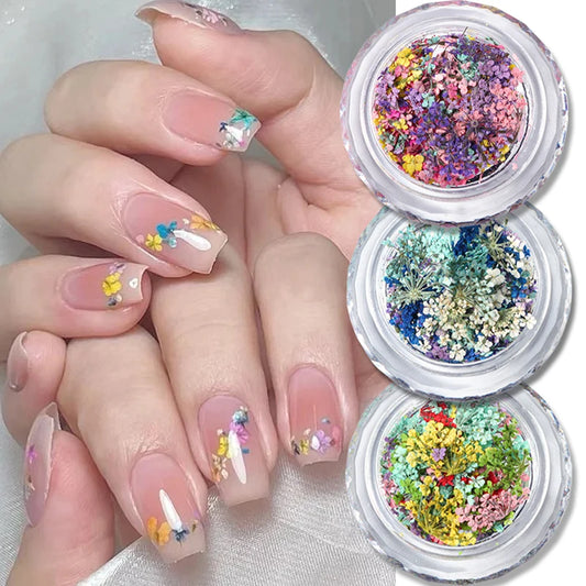 1 Box Nail Art Flower Decoration Delicate Dried Flower Nail Art Decorations Exquisite Nail Art Beauty For Charms Accessories