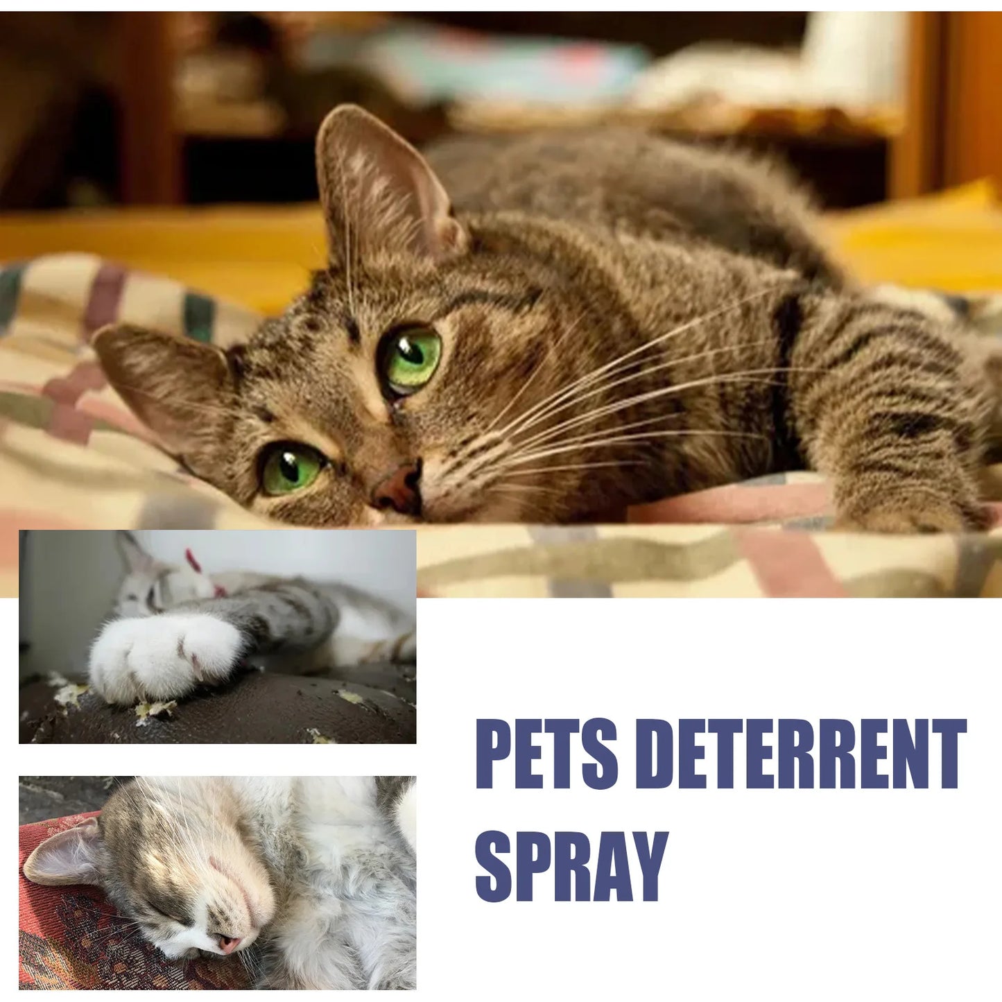 Pet Anti scratch Spray Cat spray Scratch Deterrent Restricted Area Repel Cats Dogs Scratching Door Sofa Anti scratch Furniture
