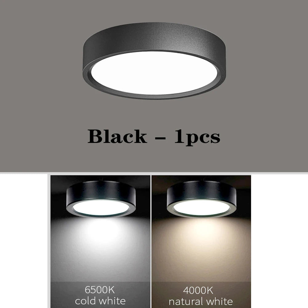LED Ceiling Light 5W 10W 15W 18W 24W Surface Mounted Downlight Ceiling Lamp for Living Room Kitchen 220V Spotlight Panel Lights