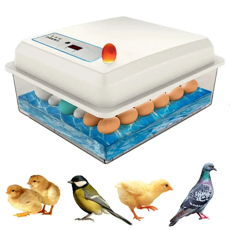 20 Eggs Incubator Turning Hatching Brooder Farm Bird Quail Chicken Poultry Farm Hatcher Turner Incubation Tool