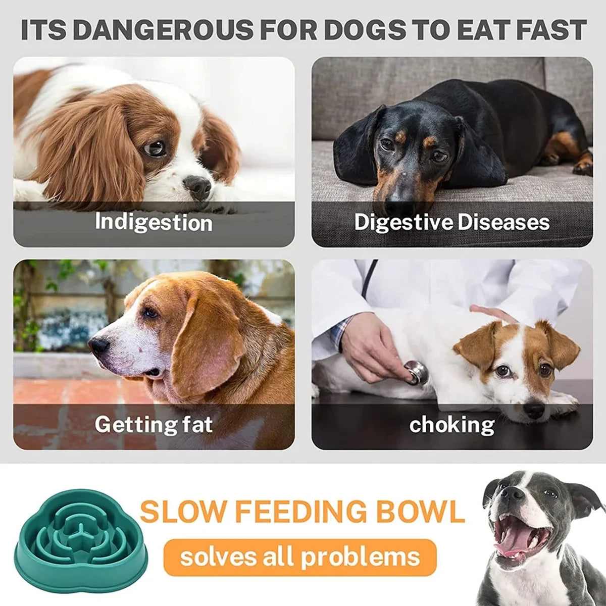 Pet Slow Feeder Bowl Durable Non-Slip Anti Choking Dog Bowl For Digestive Health & Bloat Reduction For Large Medium Small Dogs