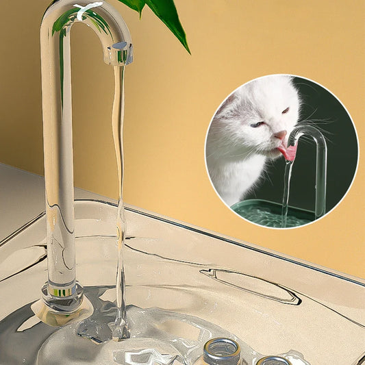 Cat Water Fountain Transparent Ultra-Quiet Auto Filter Dog Drinker USB Anti-Dry Burning Recirculate Filtering Water Dispenser