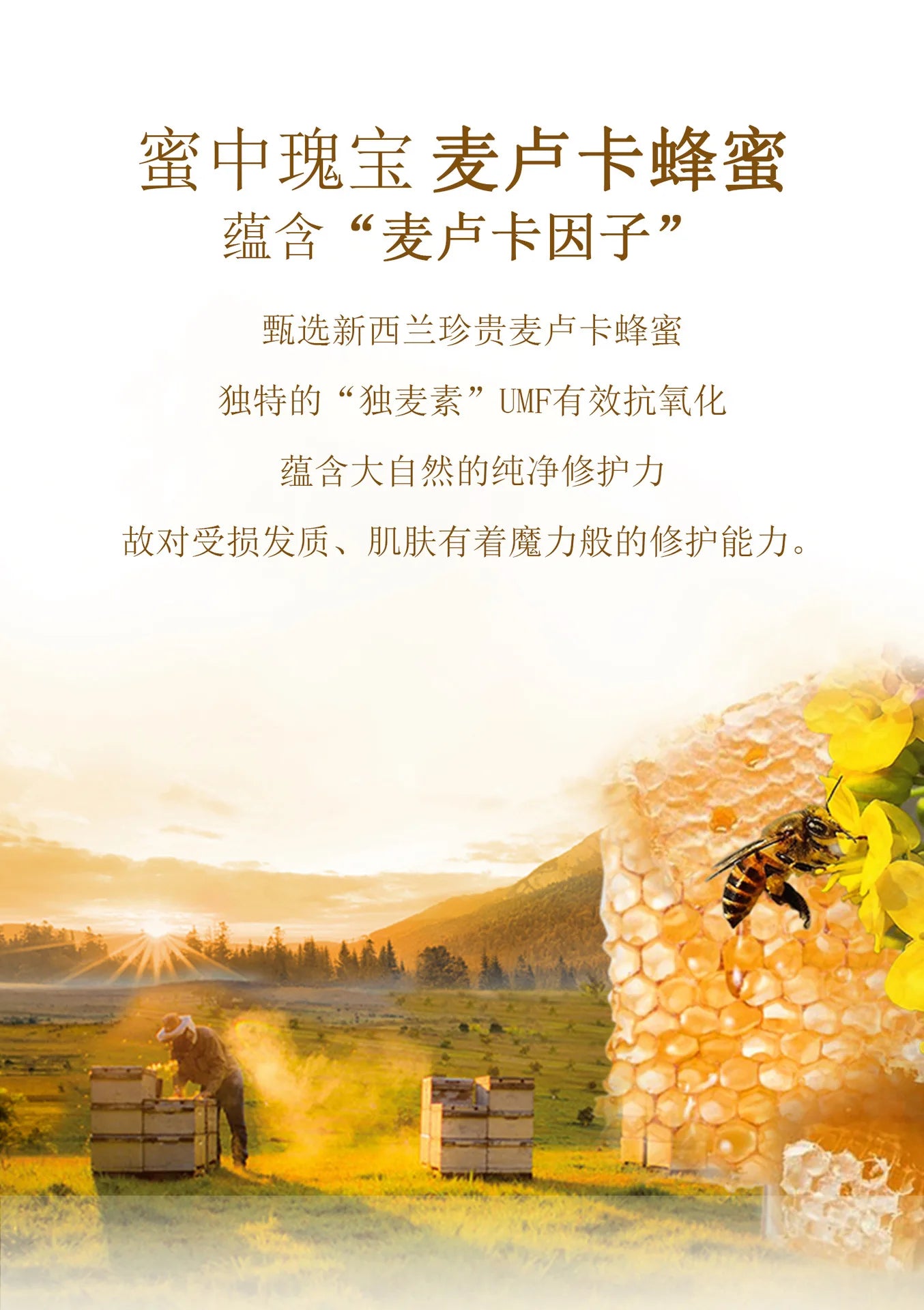 шампунь Nourish Shampoo Conditioner The Hair Honey Shampoo Clean The Scalp Hair Shampoo and Conditioner 탈모샴푸 수향미