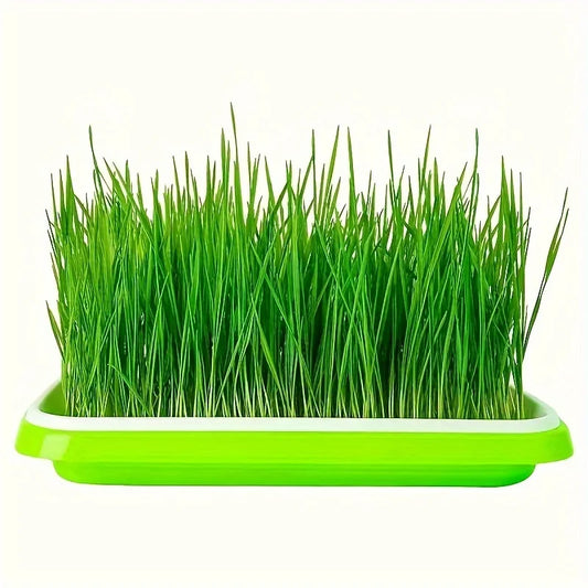 5 growth trays for germinating seeds, hydroponic basket for soilless cultivation, germination tray kit with lid