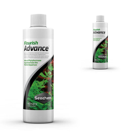 Natural plant hormone supplements enhance mineral absorption and improve disease resistance