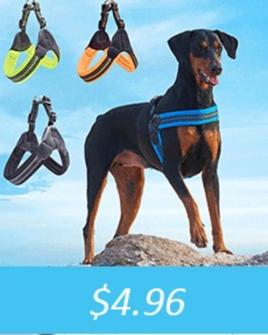 350ml Travel Slow Food Bowl for Small & Large Dogs, Foldable Pet Feeder with Buckle