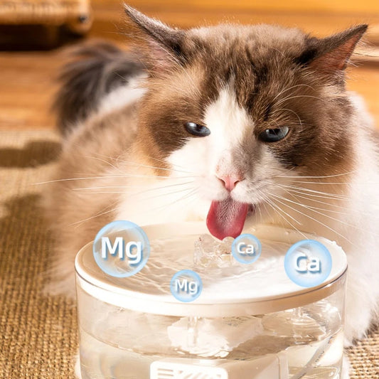 1L USB Electric Mute Pet Water Fountain Automatic Cat Drinking Bowl Filter Quiet Dispenser with Carbon Filter for Fresh Water