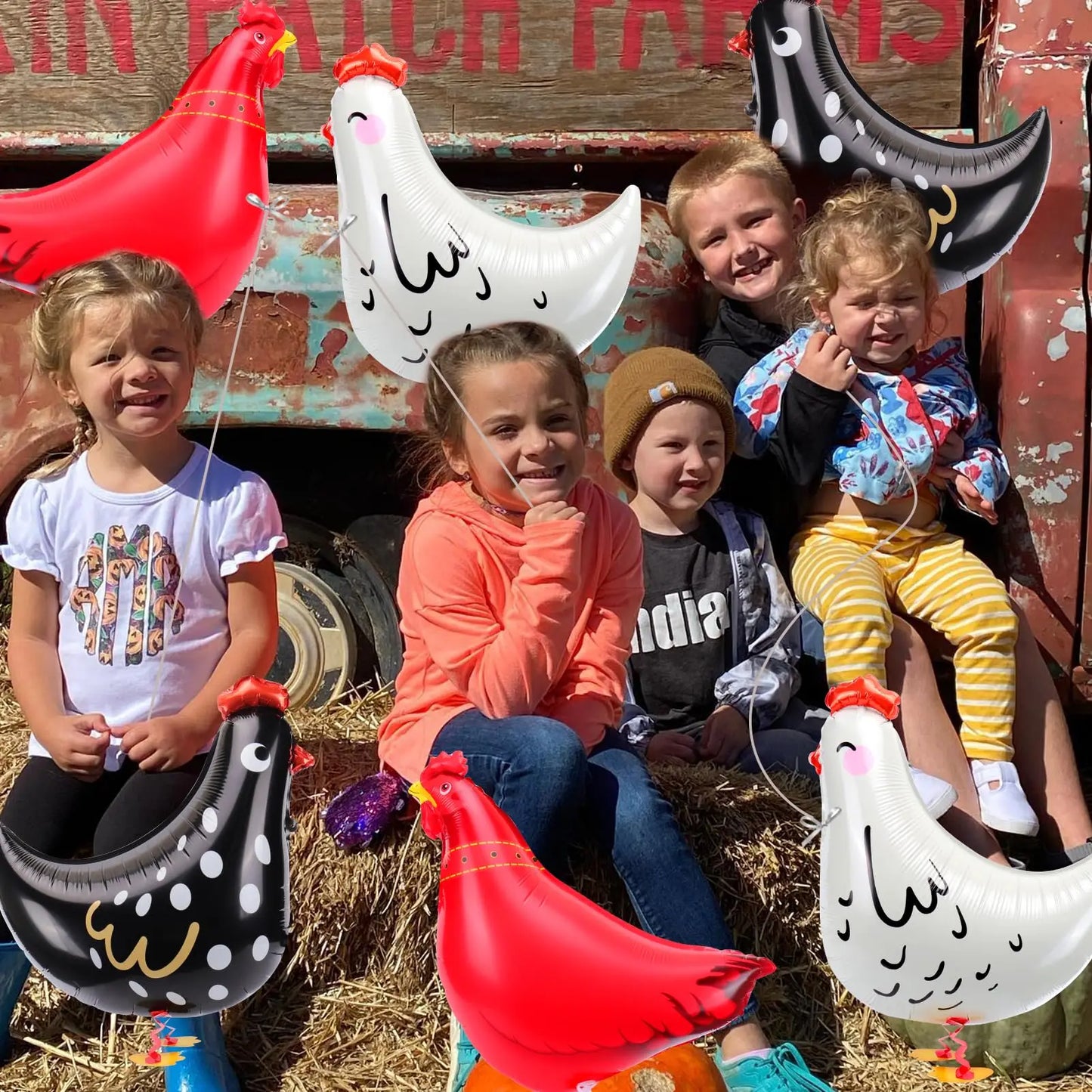 9PCS Animal Balloon Farm birthday decorations, 3 styles Chicken walking Balloon Animal Balloon Farm party decorations farm