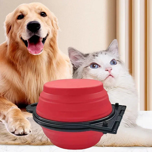 Folding Portable Silicone Dog Feeder Bowl 2 In 1 Pet Dispenser Outdoor Travel Dog Cat with Carabiner Bottle Food Water Container