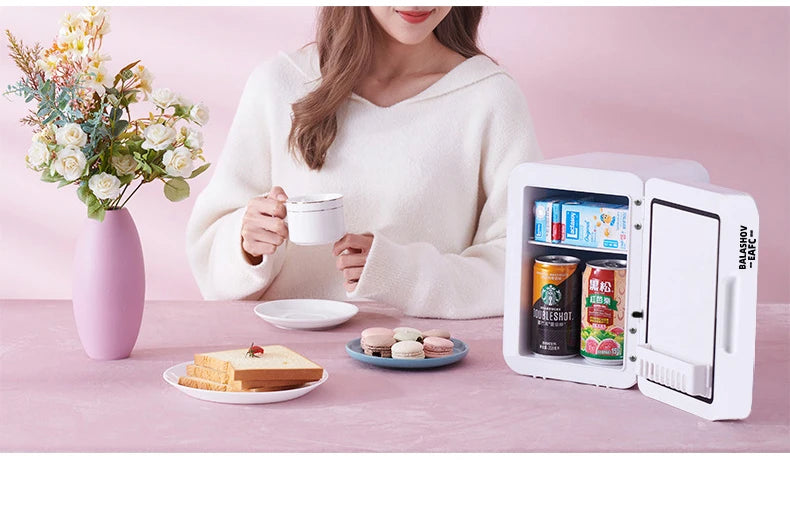 EAFC 4L Mini Fridge Car Home Mini Refrigerator Dual Core Freeze Heating Food Fruit Storage Fridge Cooler for Home Travel Camping