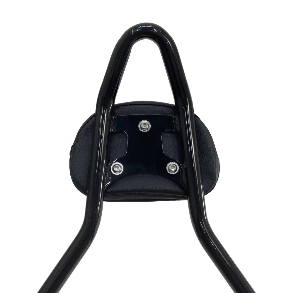 Motorcycle Rear Backrest For the Indian Chief Bobber Dark Horse 2022 2023 High Quality Passenger Seat Back Accessories