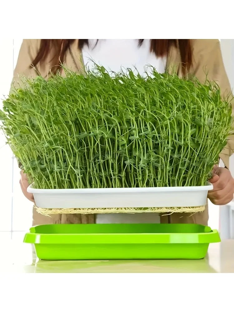 5 growth trays for germinating seeds, hydroponic basket for soilless cultivation, germination tray kit with lid