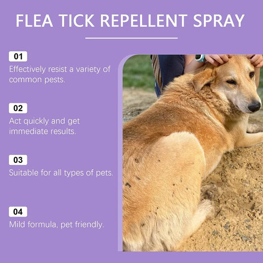 Pet Flea Tick Mites Repellent Shooting Spray with Natural Ingredients Essential Oils for Dogs and Cats External Insect Remover