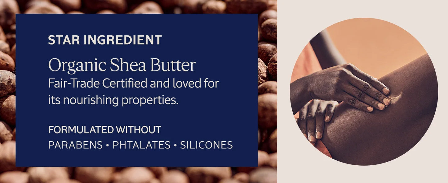 L'Occitane Moisturizing 15% Shea Butter Ultra-Rich Body Lotion 8.40 fl oz