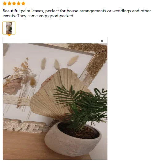 4 Pieces Palm Leaves Home Furnishing Palm Leaves Perfect For Palm Leaf Decor, Boho Decor, Home Decor, Wedding