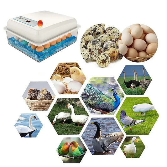 20 Eggs Incubator Turning Hatching Brooder Farm Bird Quail Chicken Poultry Farm Hatcher Turner Incubation Tool