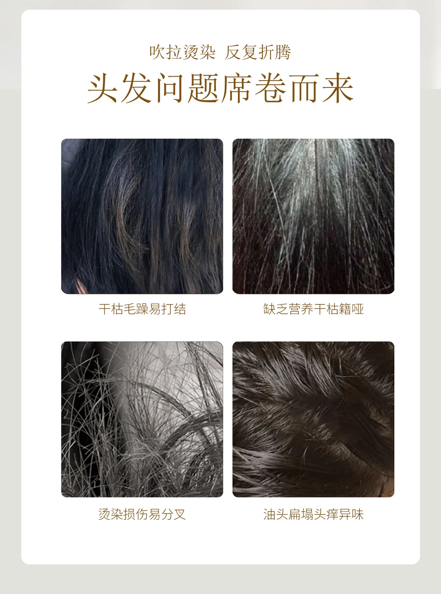 шампунь Nourish Shampoo Conditioner The Hair Honey Shampoo Clean The Scalp Hair Shampoo and Conditioner 탈모샴푸 수향미