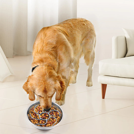 Slow Feeder Dog Bowl Insert Choking Prevention Slow Feeding Bowl dium Breed Large Sized Dog