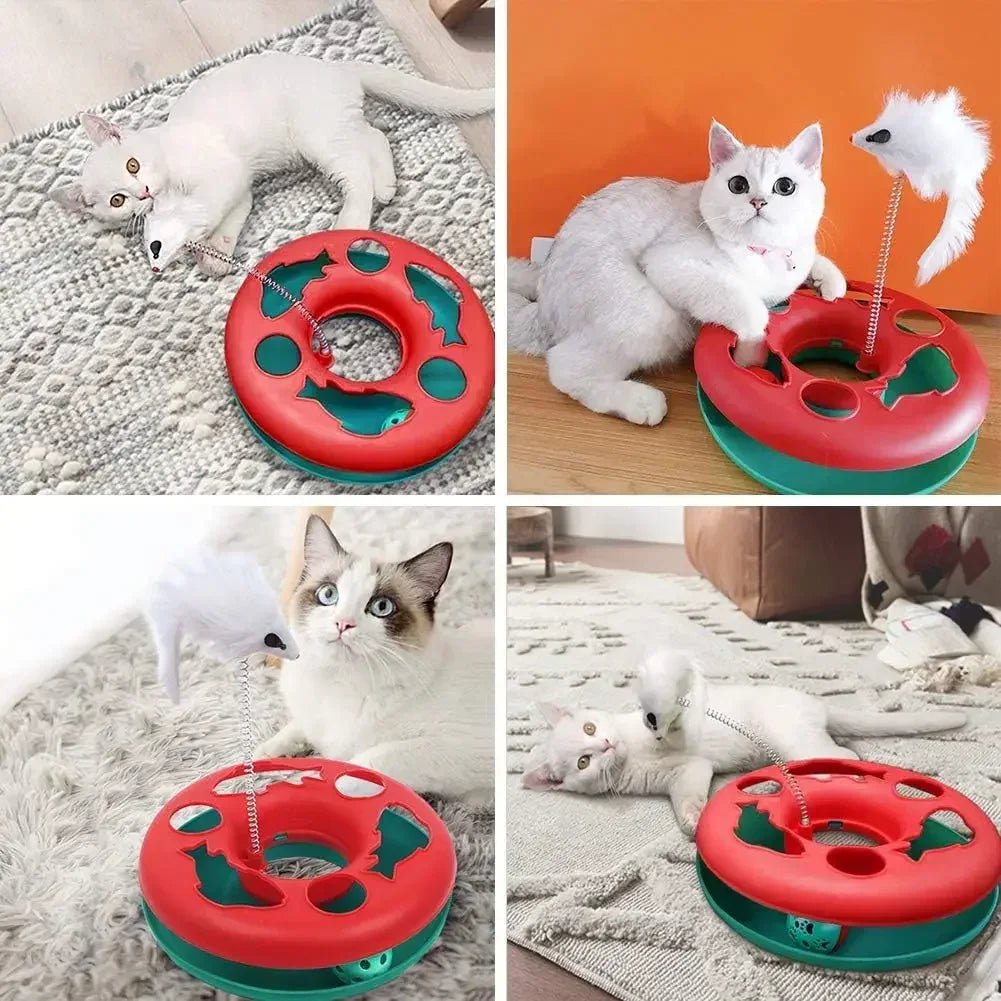 Cat Toys for Indoor Cats,Interactive Kitten Toys Roller Tracks with Catnip Spring Pet Toy with Exercise Balls