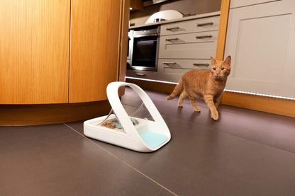 Microchip Pet Feeder - Selective-Automatic Pet Feeder Makes Meal Times Stress-Free, Suitable for Both Wet and Dry Food - MPF001