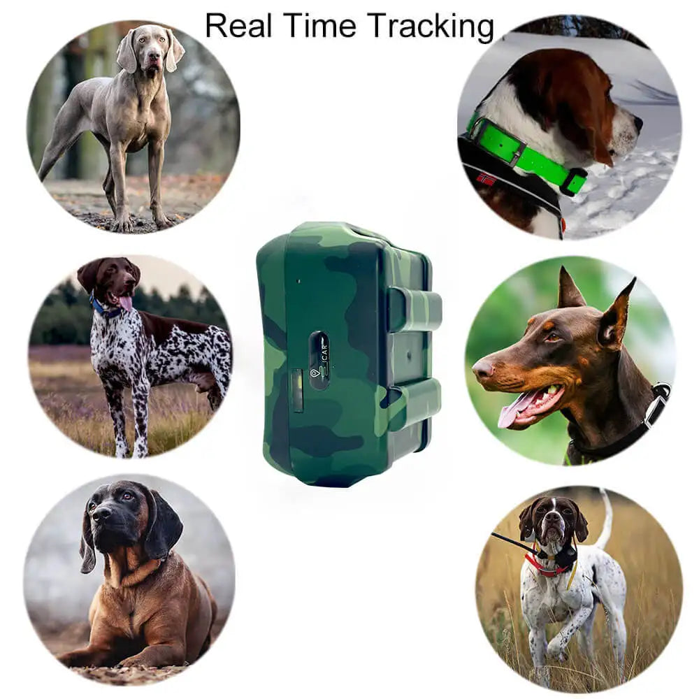 4G Dogs Pet Mini GPS Tracker Anti-Lost Collar Tracking Device Free Website APP