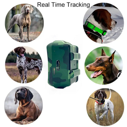 4G Dogs Pet Mini GPS Tracker Anti-Lost Collar Tracking Device Free Website APP