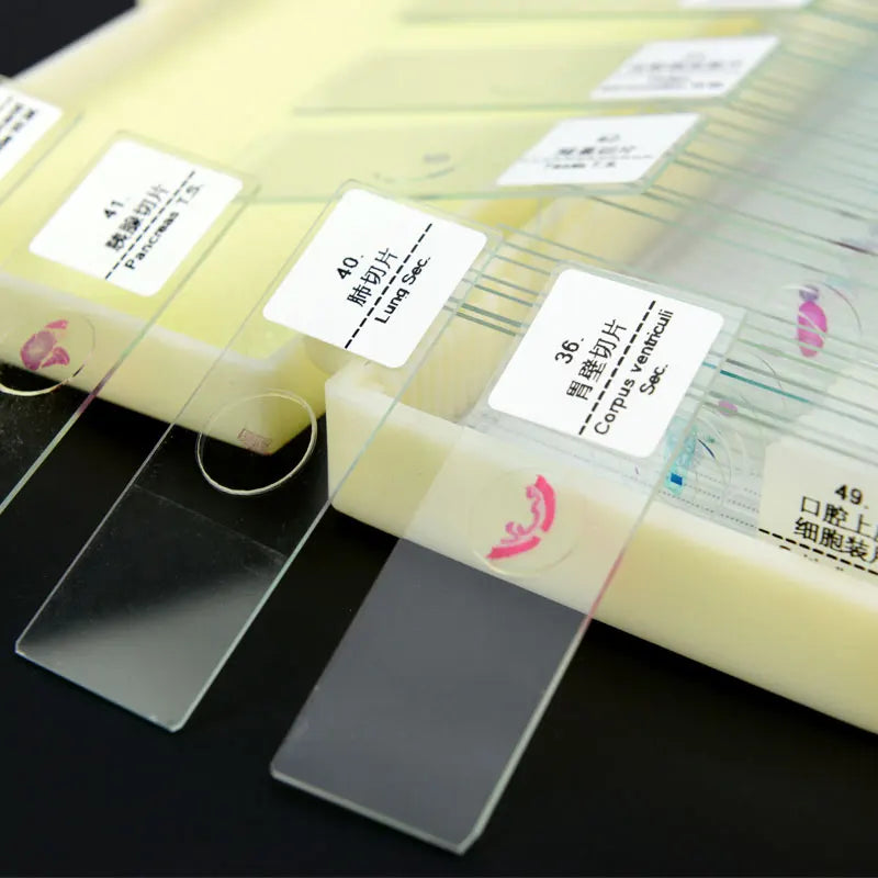 50 PCS Prepared Microscope Slides Learning Resources Slice in Box Basic Science Teaching Learning Specimen