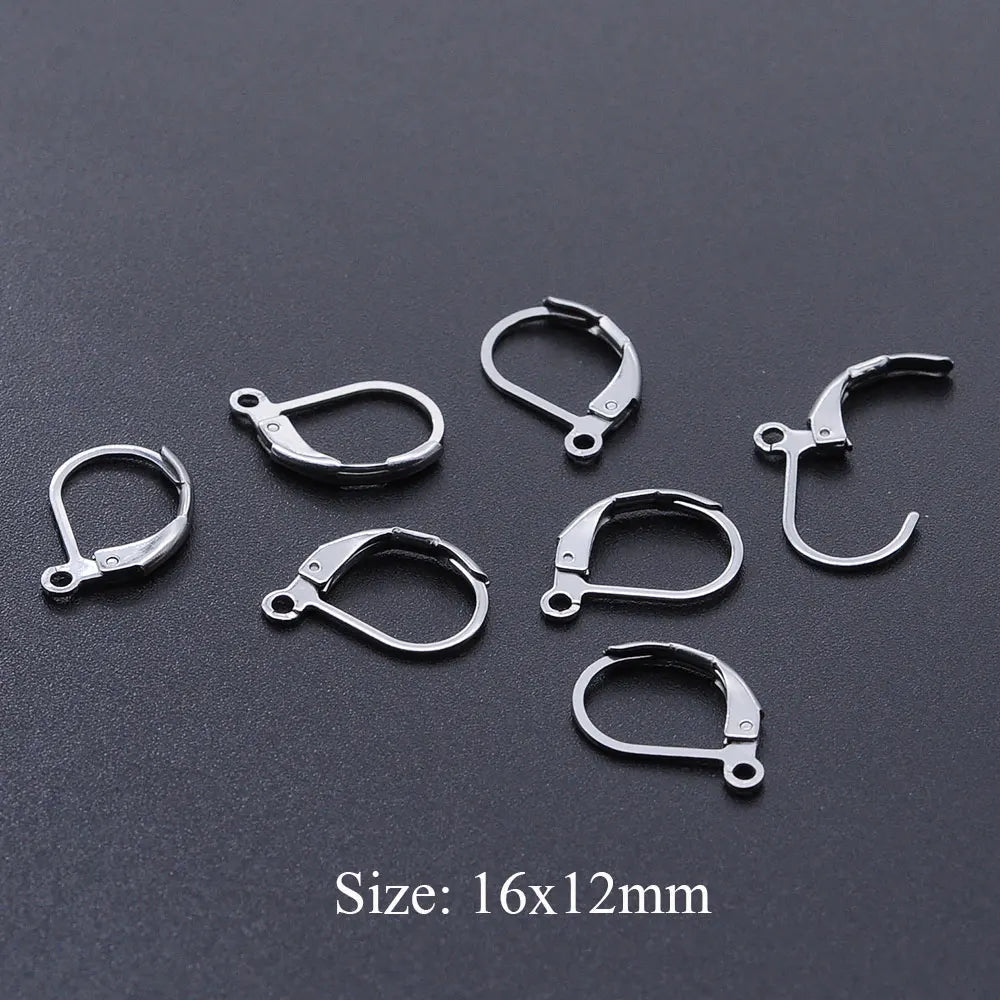 10pcs/Lot 316 Stainless Steel     Ear ring French D Buckle Ear Hook Wholesale Never Tarnish