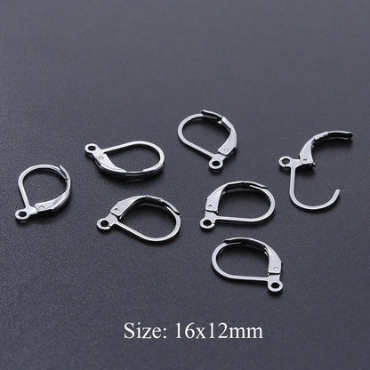 10pcs/Lot 316 Stainless Steel     Ear ring French D Buckle Ear Hook Wholesale Never Tarnish