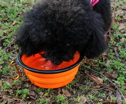 Collapsible Pet Silicone Dog Food Water Bowl Outdoor Camping Travel Portable Folding Pet Supplies Pet Bowl Dishes with Carabiner