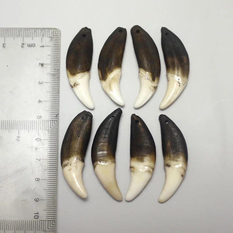 Wolf Teeth Pendant Wholesale Teeth 4 pcs Retro White&Black Teeth Jewelry Accessories Resin High Imitation  