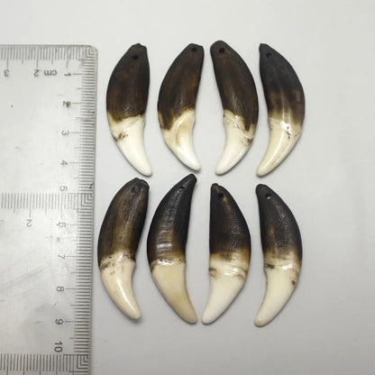Wolf Teeth Pendant Wholesale Teeth 4 pcs Retro White&Black Teeth Jewelry Accessories Resin High Imitation  