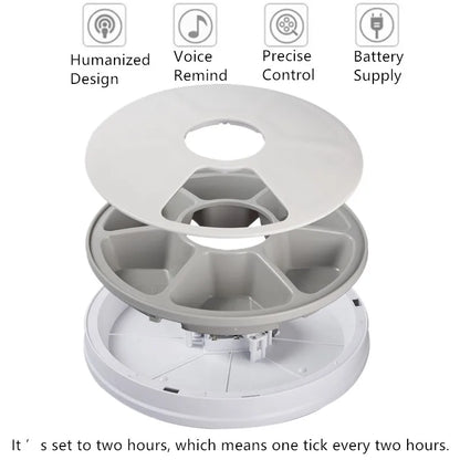 Automatic Pets Feeder Smart Food Dispenser For Cats Dogs With Voice Remind Pet Feed Tool Timer Bowl Pet Feeding Dog Accessories
