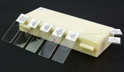 50 PCS Prepared Microscope Slides Learning Resources Slice in Box Basic Science Teaching Learning Specimen