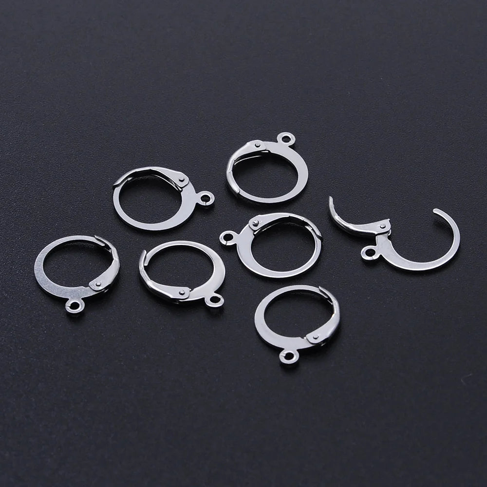 10pcs/Lot 316 Stainless Steel     Ear ring French D Buckle Ear Hook Wholesale Never Tarnish