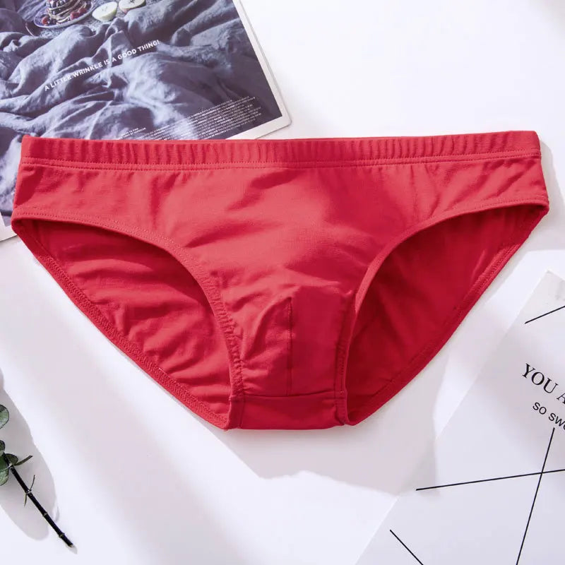 Mens Underwear Briefs Sexy Cueca Calzoncillos Hombre Slip Men Sleepwear Breathable Cotton Solid Color Male Panties Underpants