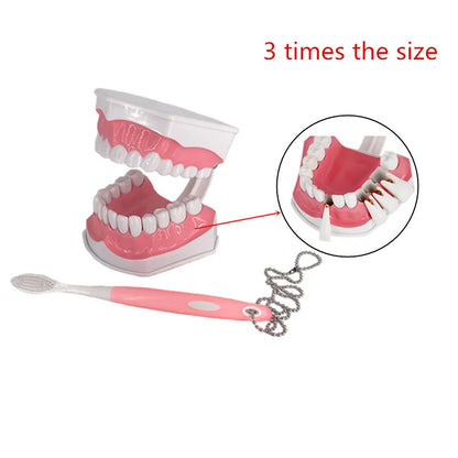 41 Styles Dental Model Teeth Teaching Model Dentist Typodont Orthodontic Jaw Model For Studying   Dentistry Products Accessories