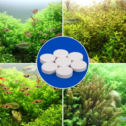 Aquarium Co2 Tablet Carbon Dioxide Supplements Fish Diffuser Water Plants Q0KA